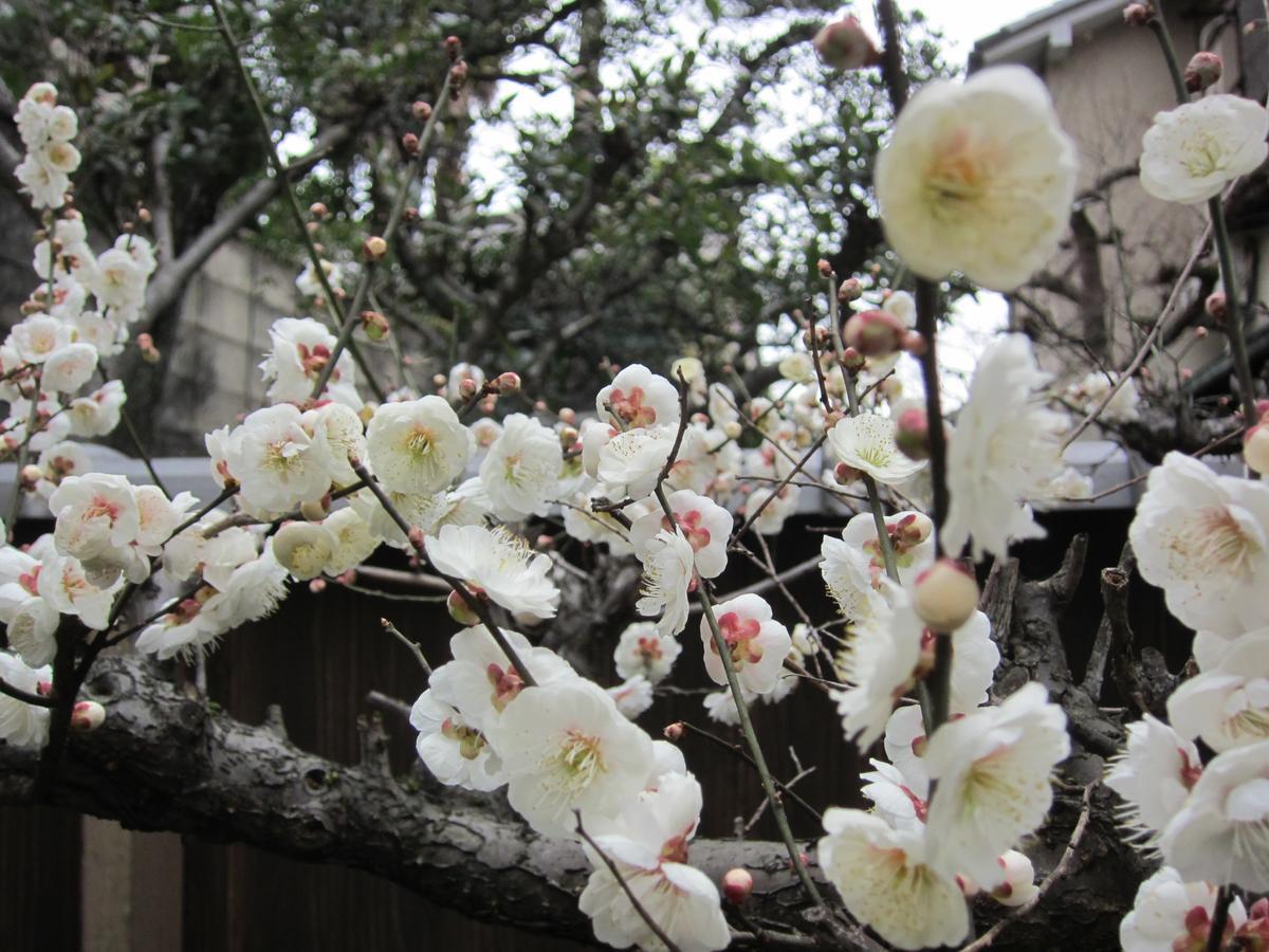 Yadoya Nishijinso Otel Kyoto Dış mekan fotoğraf
